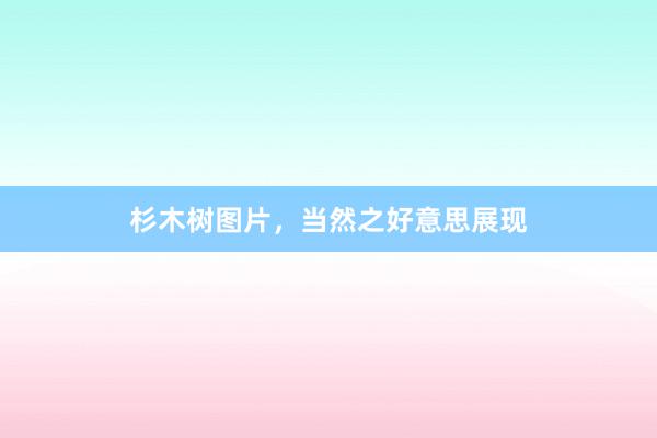杉木树图片，当然之好意思展现